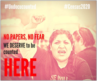 Meme with woman holding a raised fist, and overlaid text that reads No papers, no fear, we deserve to be counted here.